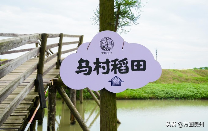 这个夏日，看这个美女如何在浙江乌村的第一百种玩法