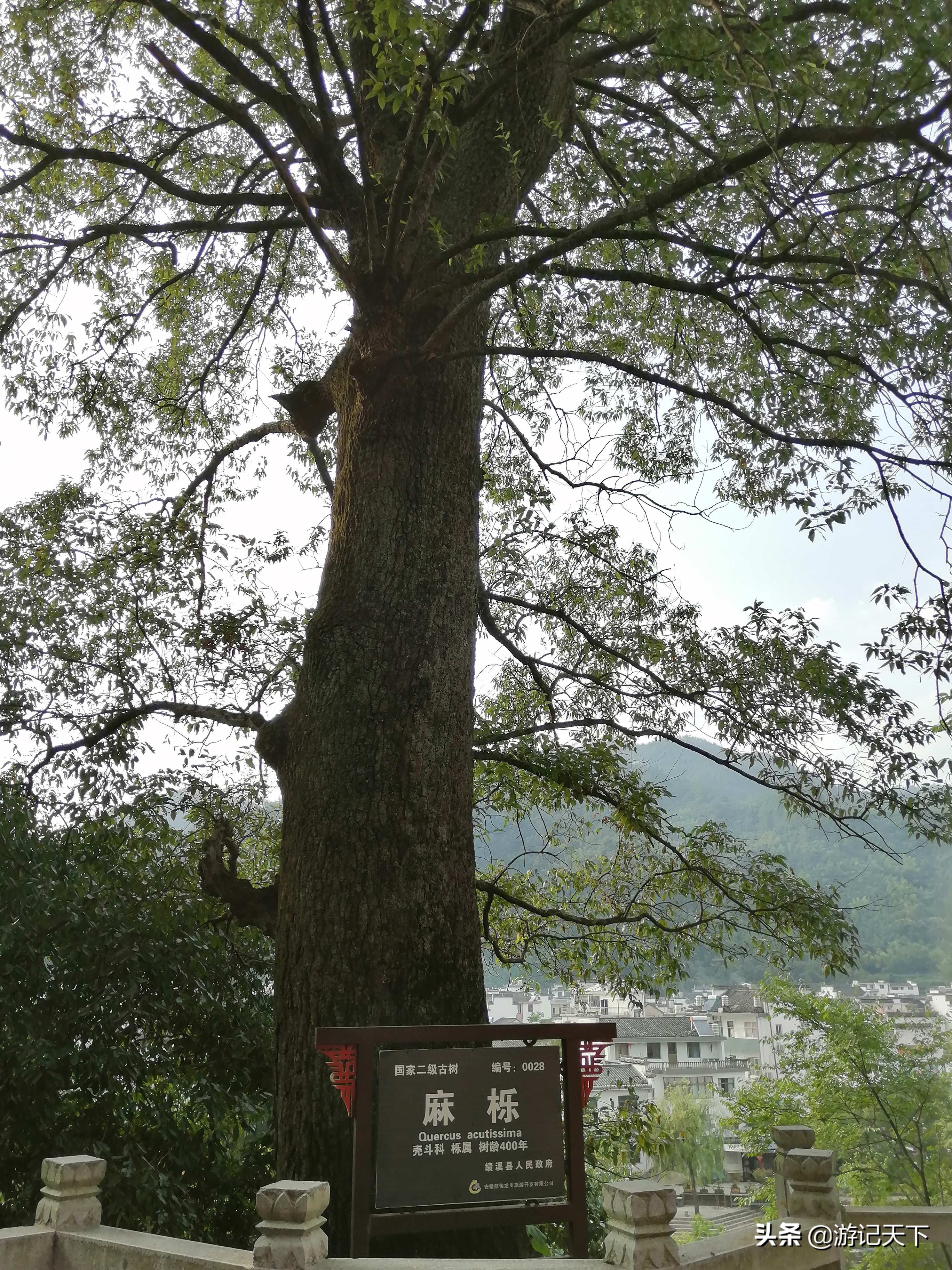 博导带我游龙川——阿尼亚房车伴我走天涯