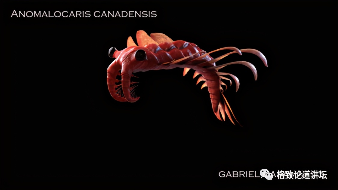 我们用来咬合的颌骨，竟和这条古鱼海怪一脉相承