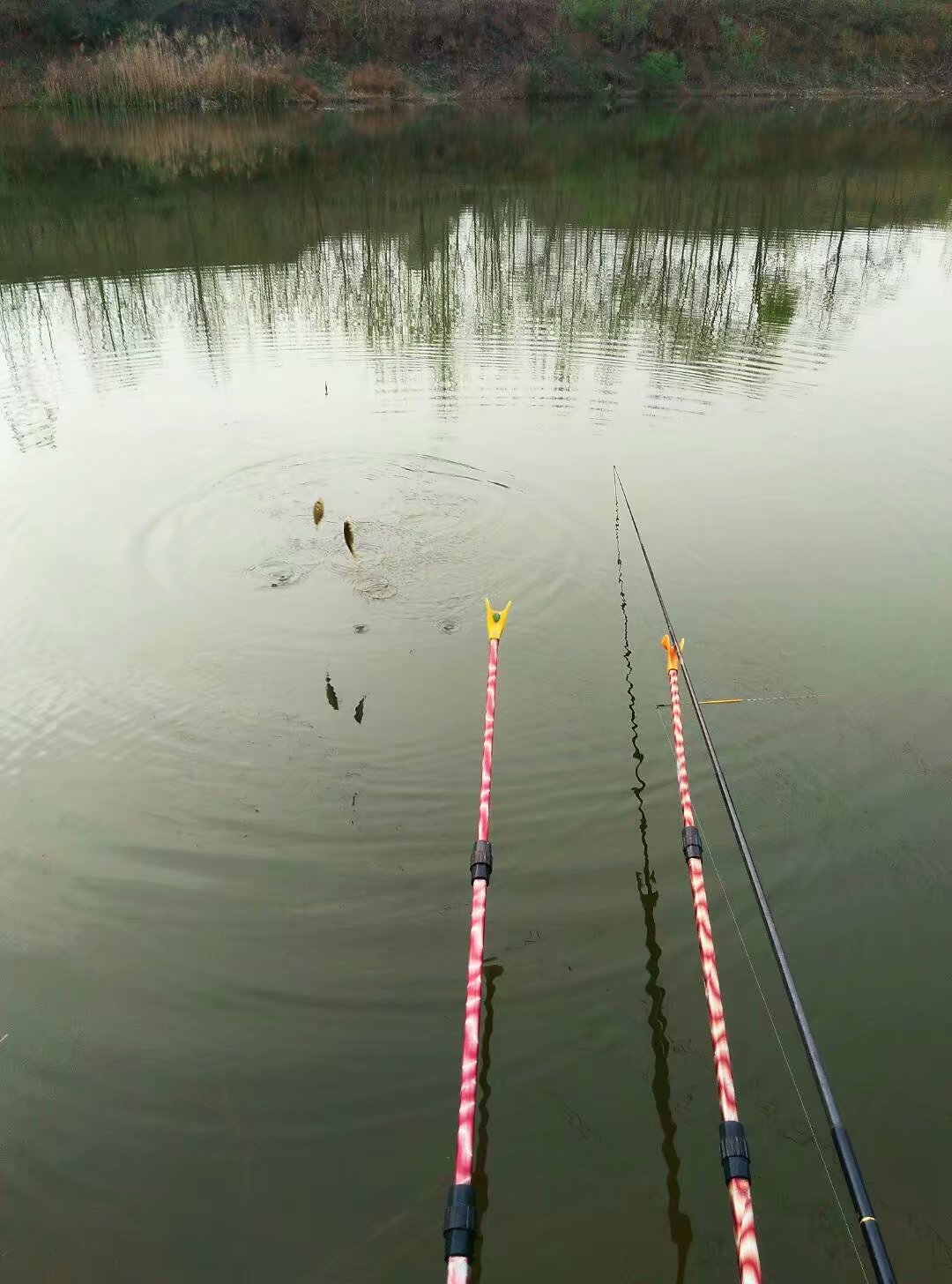 钓鱼新手有必要买偏好点的渔具吗,野钓一年渔具花费