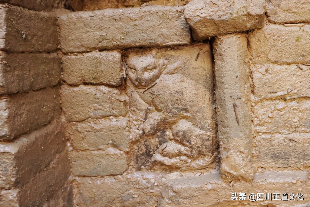 猫的故事,猫的故事视频