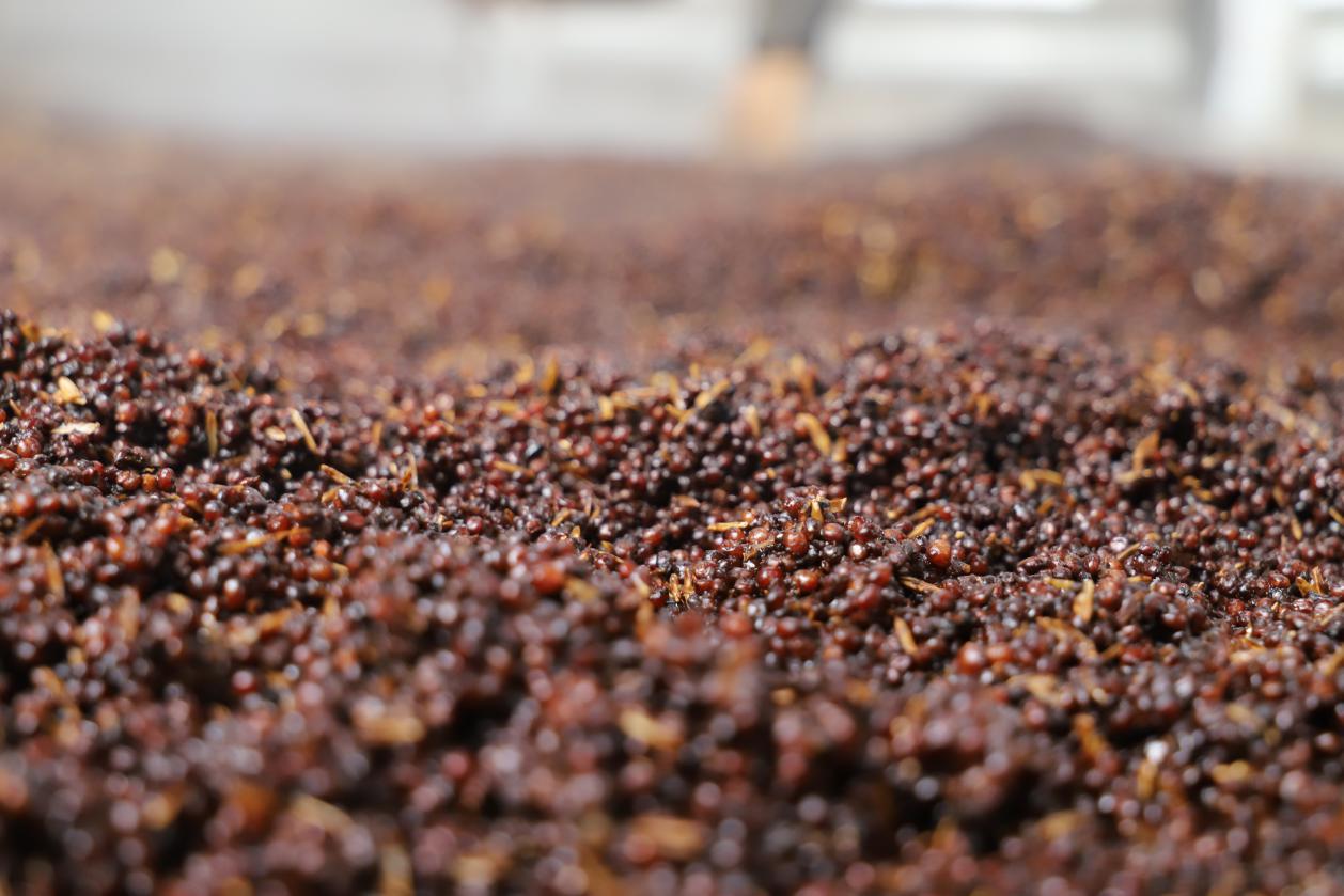 薪火相传酱香型白酒珍藏,从源头品味经典酱酒