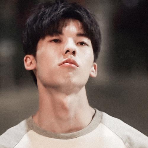 宋茜谭松韵任嘉伦李现千玺,许光汉宋威龙视频通话模板