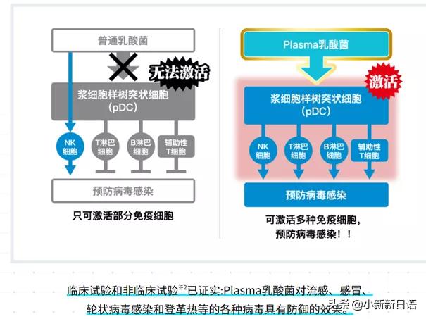 日本十大美食大赏,日本年度大赏