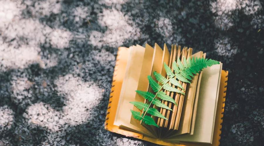 2019年高考报名网址查询,2019江西省考报名时间表