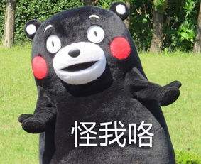 台湾旅游业惨状分析,台湾旅游业存在的问题