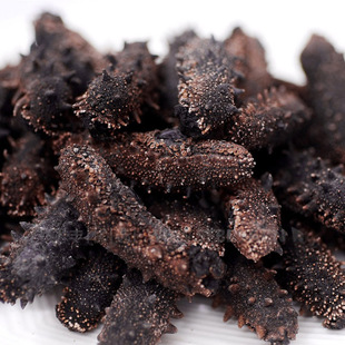 十大海参世界官方排名,海参十大产地排名