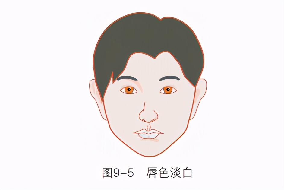 唇色异常有哪几种表现,唇色发白预示什么病症