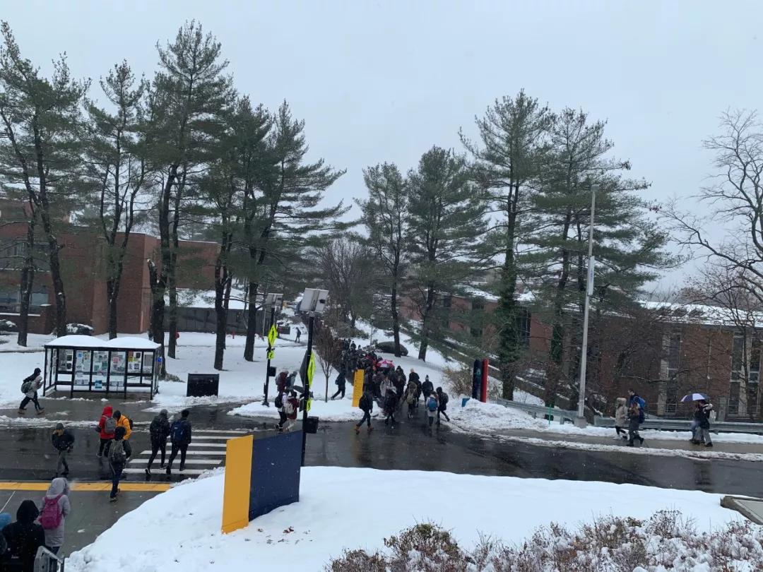 Brandeis|成长就是要学会与自己独处