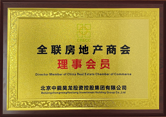 中能昊龙集团排名,中能昊龙投资控股集团有限公司