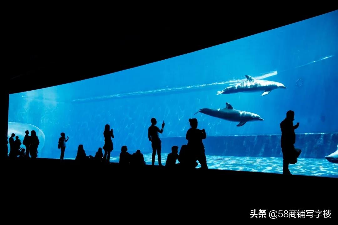 一家必打卡的网红店,2021年网红店大盘点你去过几家