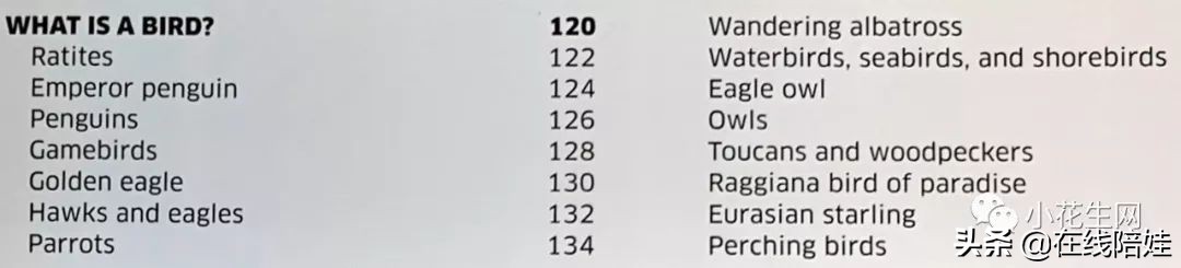 dk知识大百科全套,dk知识大百科书金银版