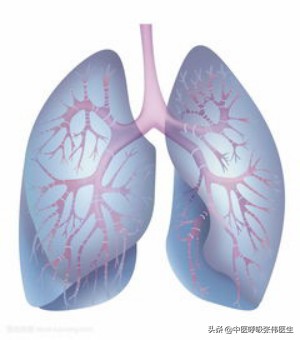 急性间质性肺炎ct图解,急性间质性肺炎一天后死亡