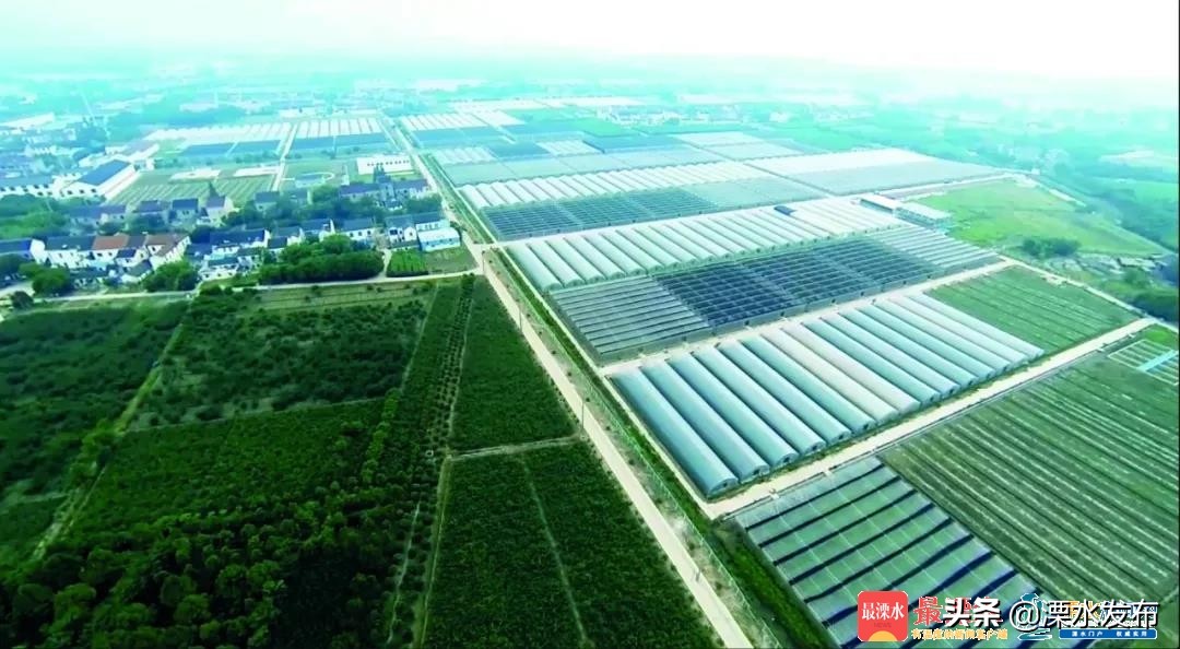 溧水区白马镇农业示范区,溧水白马科技园区