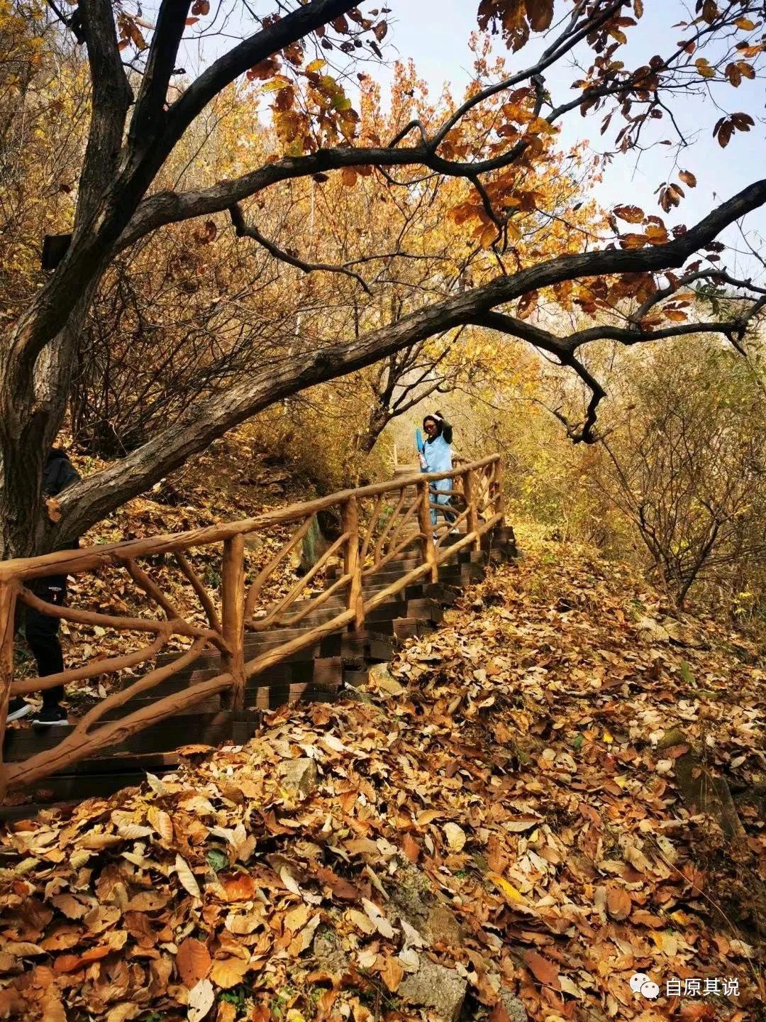 北京怀柔人济庄园游玩好不好,怀柔红叶观赏地有哪些