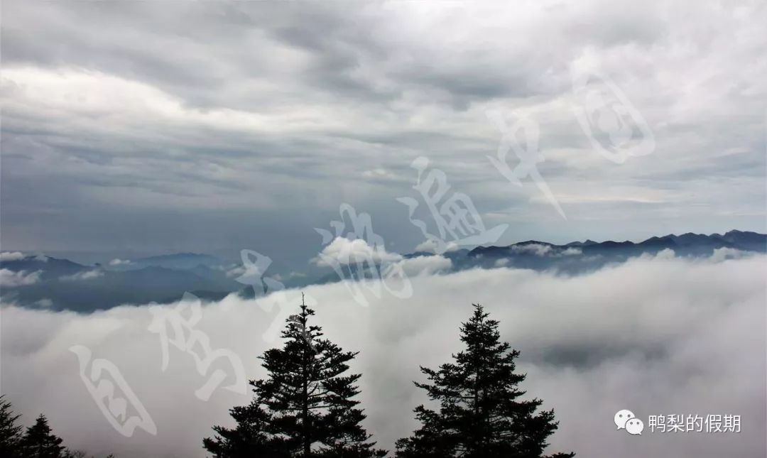 自驾车游遍中国之（一）——世界那么大，我想去神农架