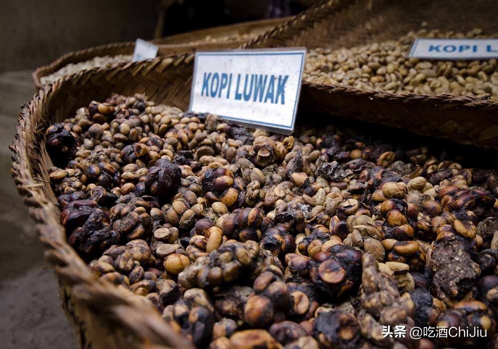 猫屎咖啡是世界上最昂贵的咖啡,比猫屎咖啡更贵的咖啡
