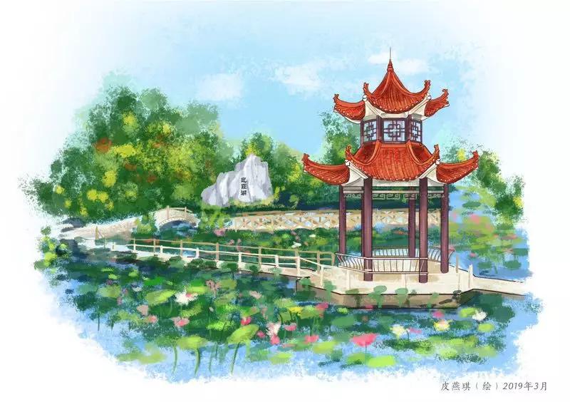 重庆一中与巴蜀中学哪个好,重庆一中全校前十名