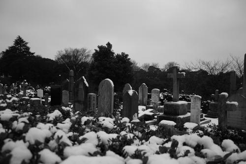 1899年意大利强行租借浙江三门湾的要求为何被清政府强硬拒绝