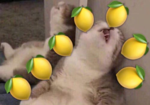 抖音爆款礼物男朋友,抖音520限定礼物