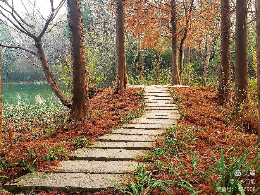 绝美西溪,西溪南冬季景色