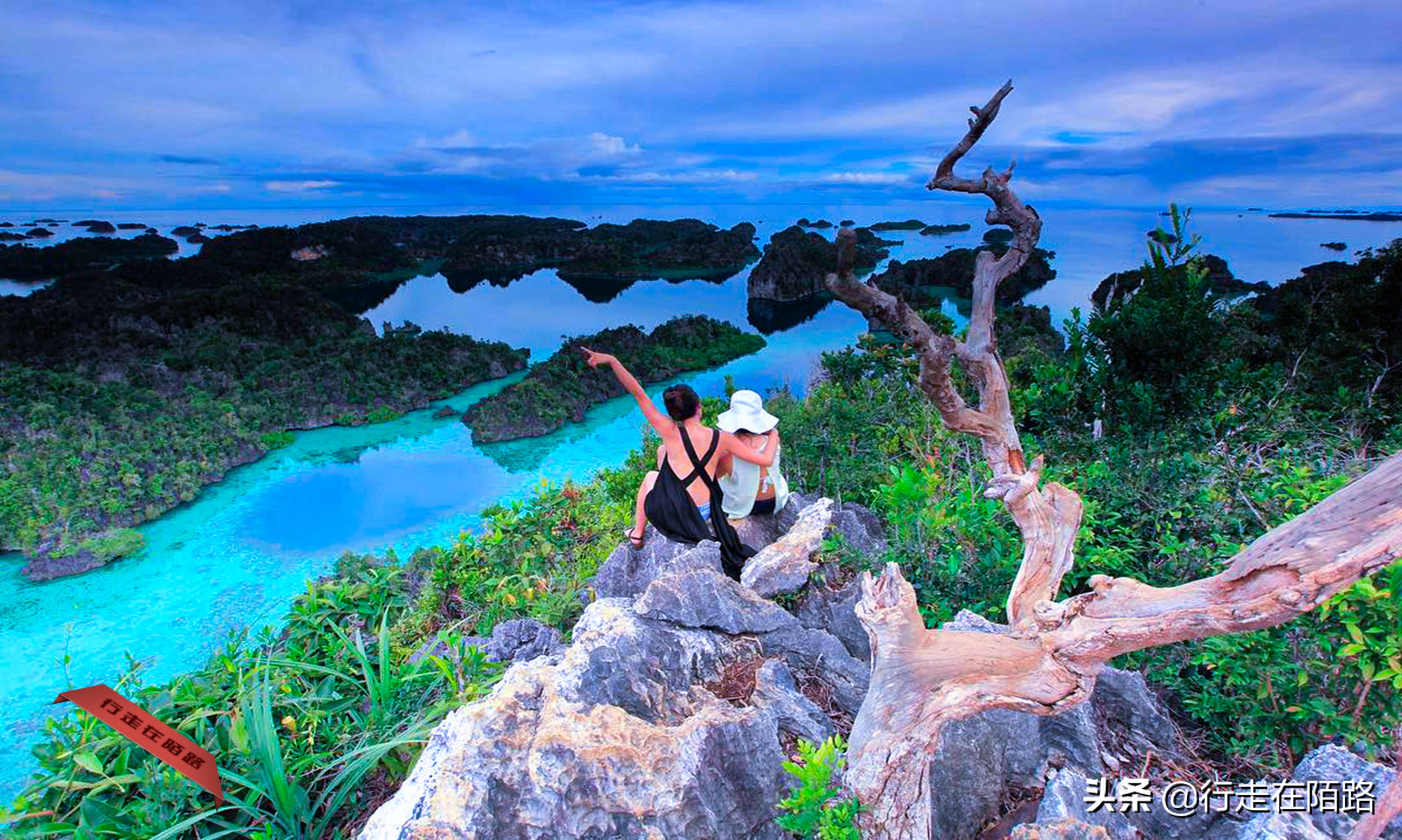 四王岛帕劳,四王岛和帕劳哪个好