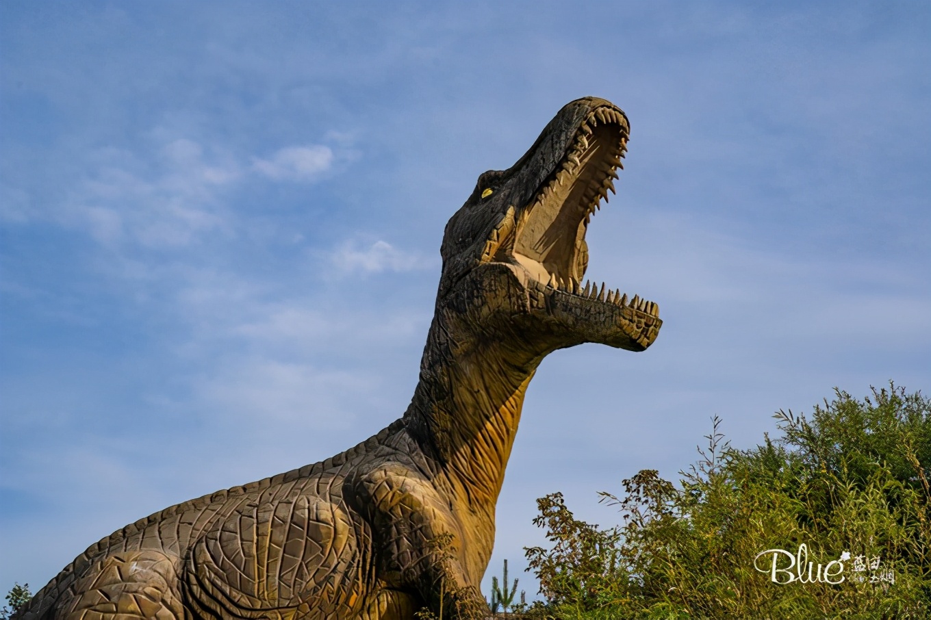 从漠河自驾到抚远镇,漠河至丹东自驾g331攻略