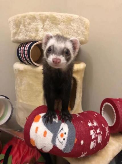 房子装修避坑攻略,装修了百套房总结了100个避坑经验