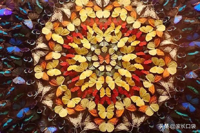 假期去哪里溜娃好玩,假期去哪玩便宜又好玩儿