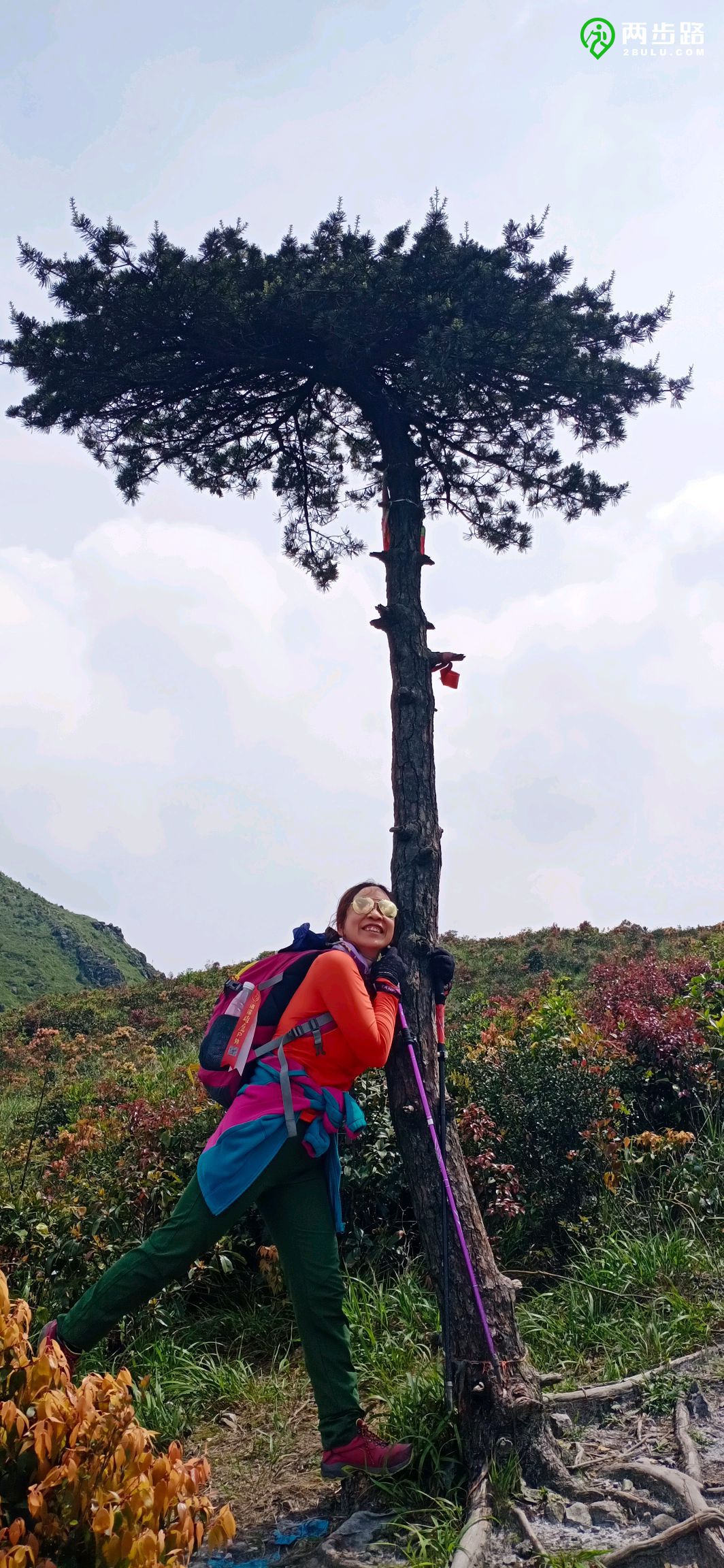 二天三夜邮轮游,两天三夜的海上旅行