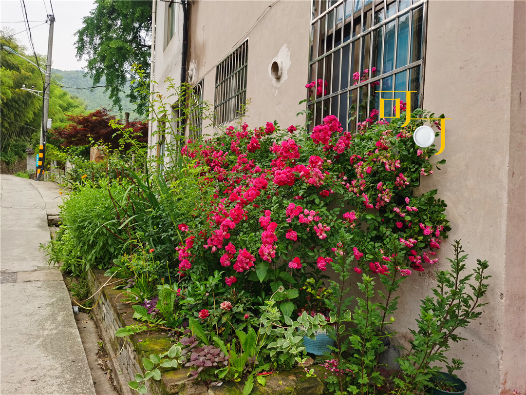 东钱湖湖畔人家农家乐,东钱湖下午茶和农家菜