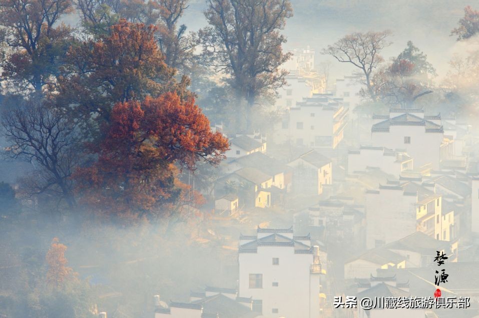 和爱旅行的人结婚,后来都怎样了?
