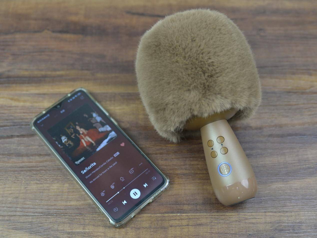 唱吧小巨蛋g2测评布朗熊,唱吧麦克风g2小巨蛋布朗熊