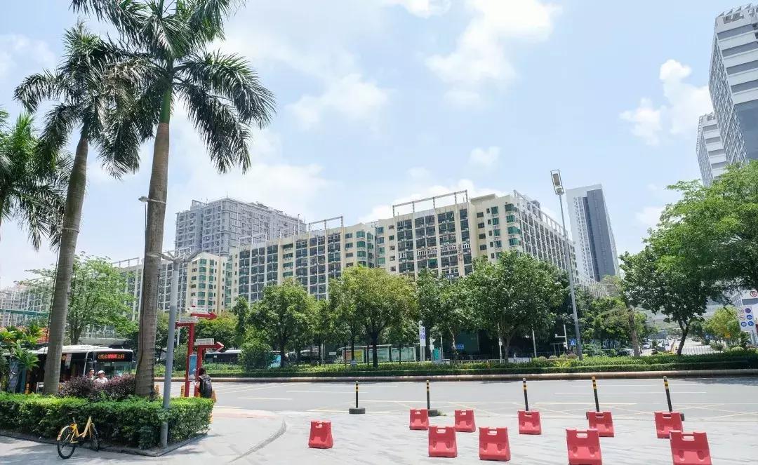 民治片区有未来吗,民治有什么特色