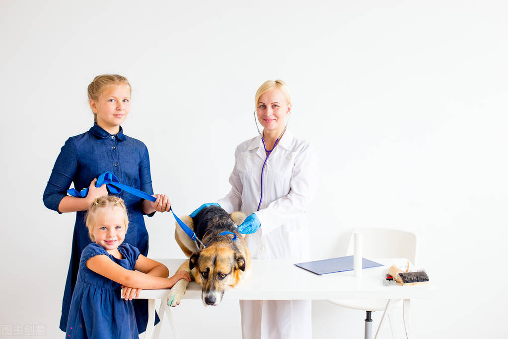 细小病毒会通过什么传染,细小病毒对人的影响