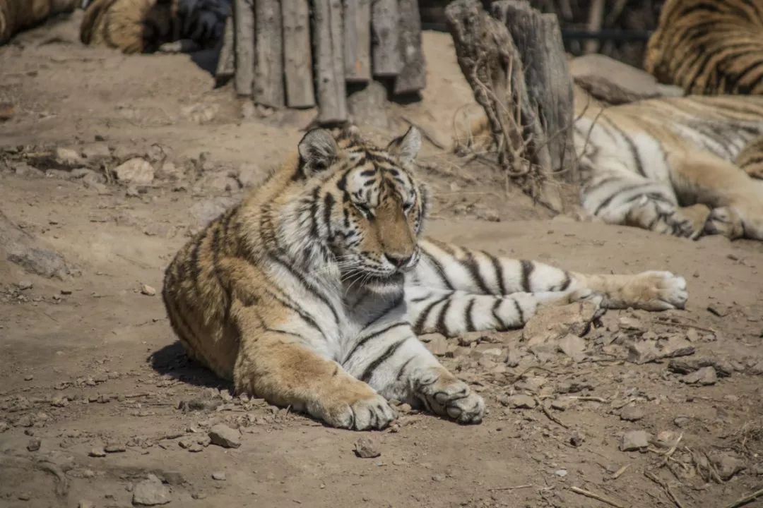 假期上海好去处,上海放假旅游好去处