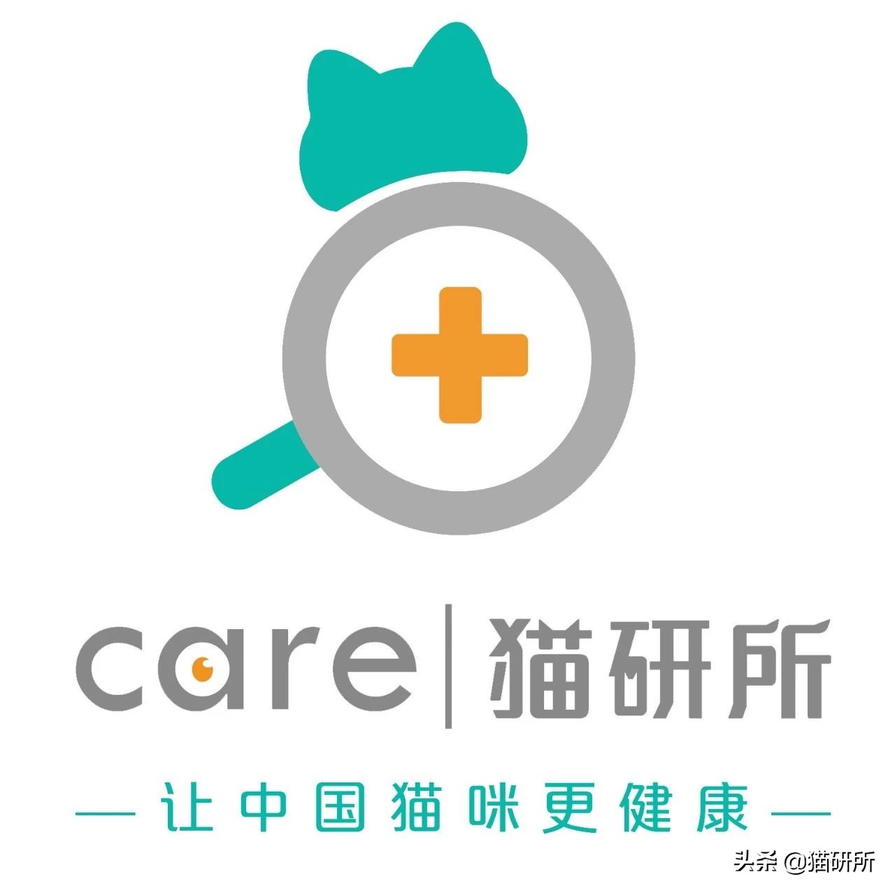 猫咪眼睛突然出分泌物还伴有干呕,猫咪眼睛分泌物突然增多怎么回事