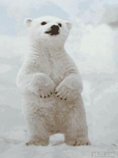 冬款身体乳推荐,12-18岁身体乳