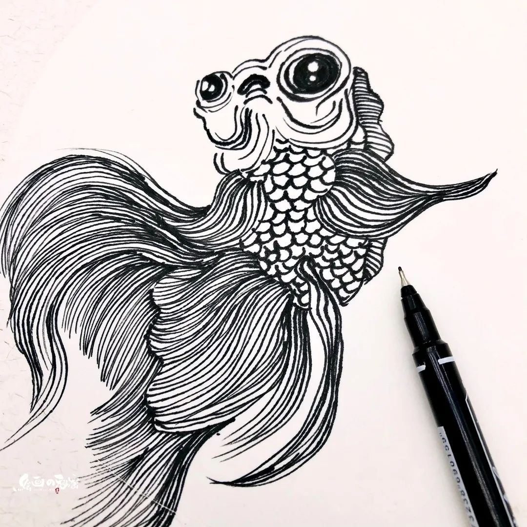 欢乐小金鱼儿,欢乐小金鱼擦炮