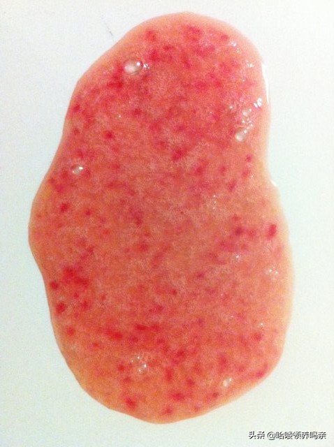 狗狗出现呕吐是什么原因造成的呢,狗狗呕吐的这4个原因