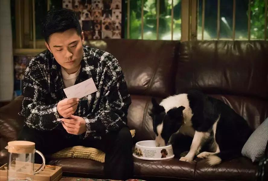 陈赫时隔多年再演曾小贤,曾小贤陈赫沙雕完整版