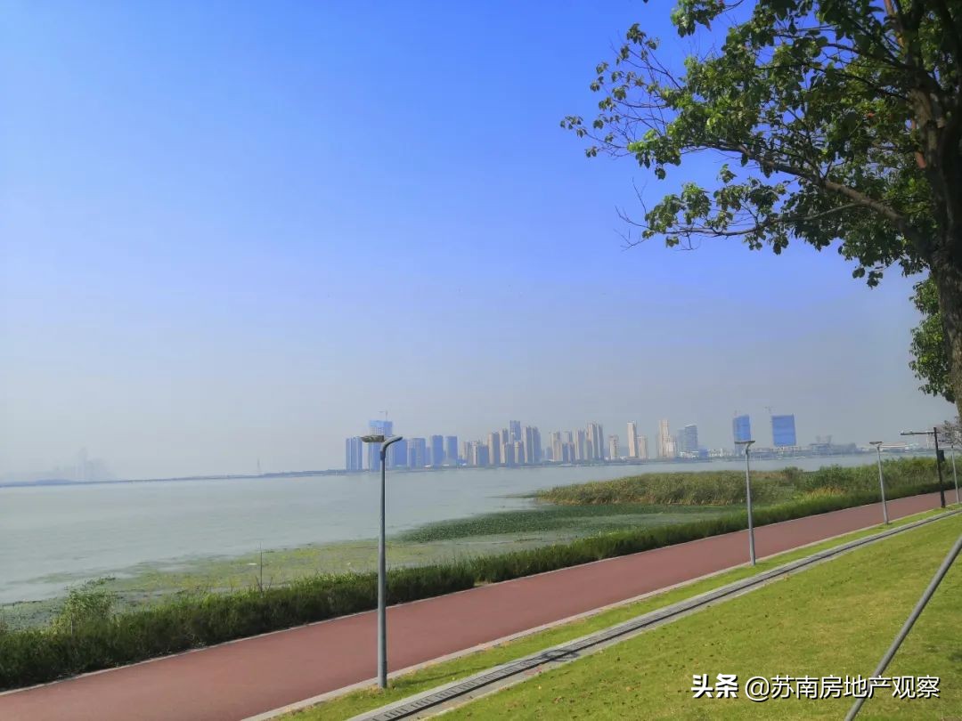 买花港,就是一场博弈