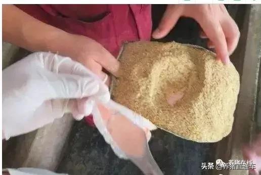 疫苗补种技巧视频,养殖户自购疫苗注意事项