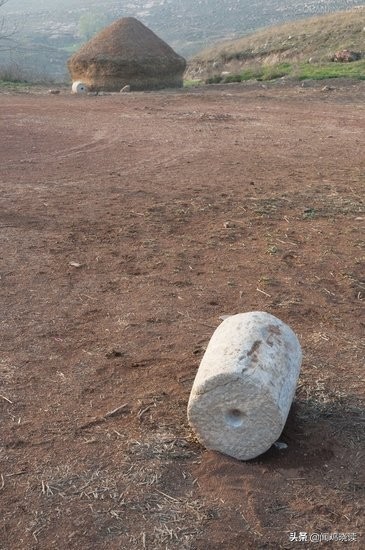 麦子熟了你还回来吗,麦子熟了还记得小时候收麦场景吗