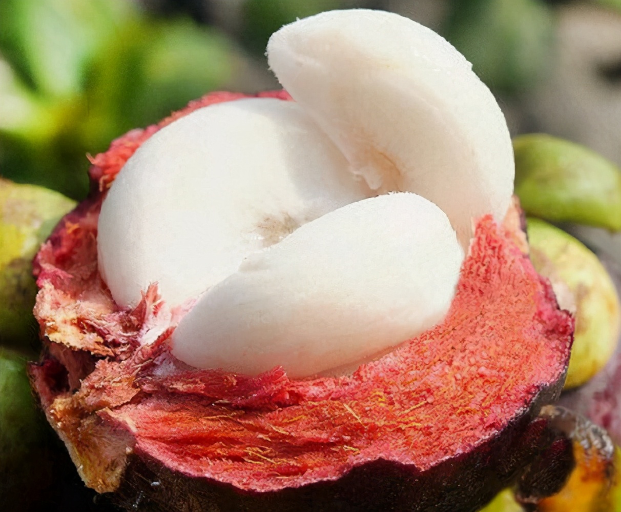 怎么挑选山竹技巧图解大全,挑选山竹的3种小诀窍介绍