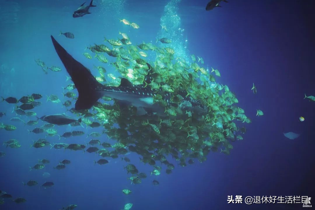 珠海浪漫出行,珠海很浪漫的城市