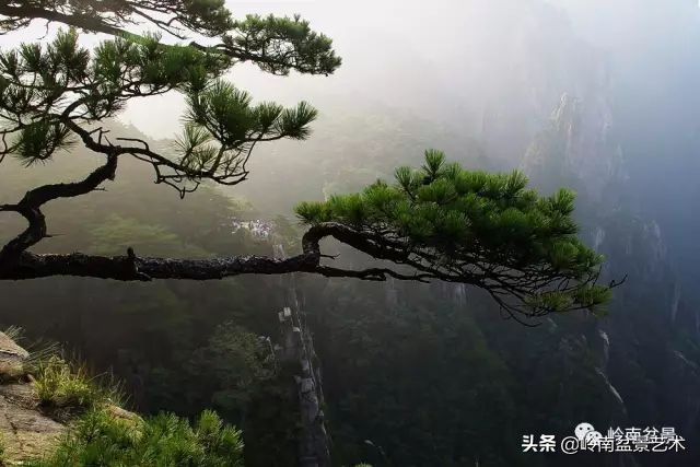 鎮礀缁濆閫㈢敓,鎮礀鐩嗘櫙澶у叏