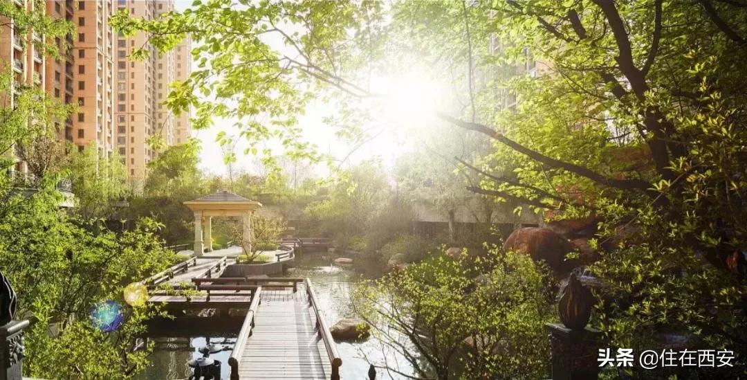 星河湾的优势是什么,跨入星河湾