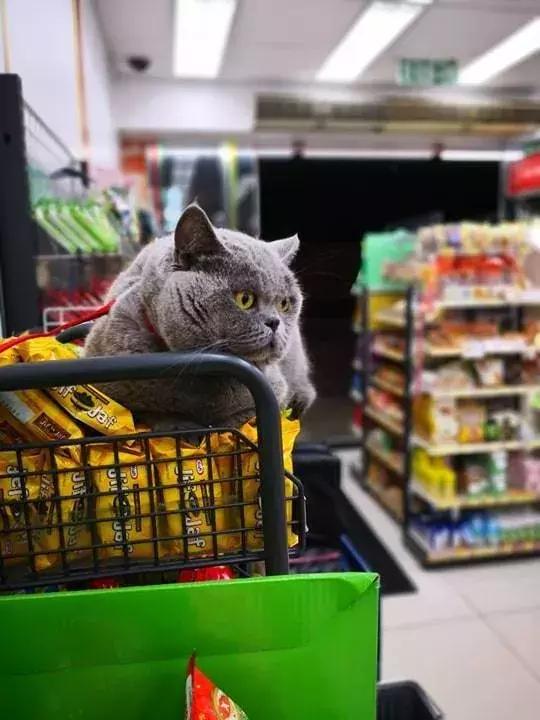 香港这家便利店的店长，靠着腮帮子走红了