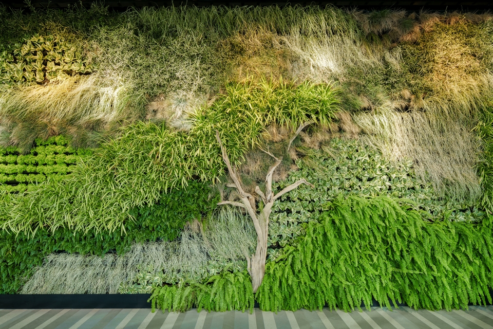 高档泰式餐厅设计案例,全季酒店自助餐厅设计